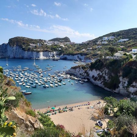 Ponza Holiday Homes - Cala Feola Exterior photo